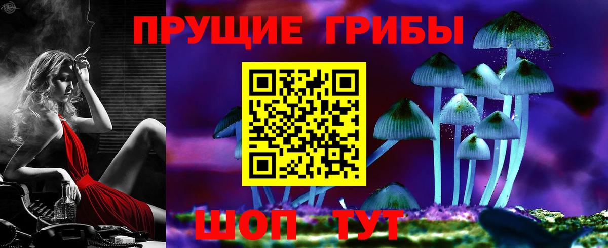Псилоцибиновые грибы Psilocybine cubensis Ревда