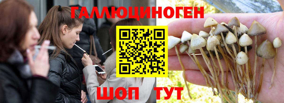 Ревда  где можно купить наркотик  Вход с VPN  Галлюциногенные грибы мухоморы 